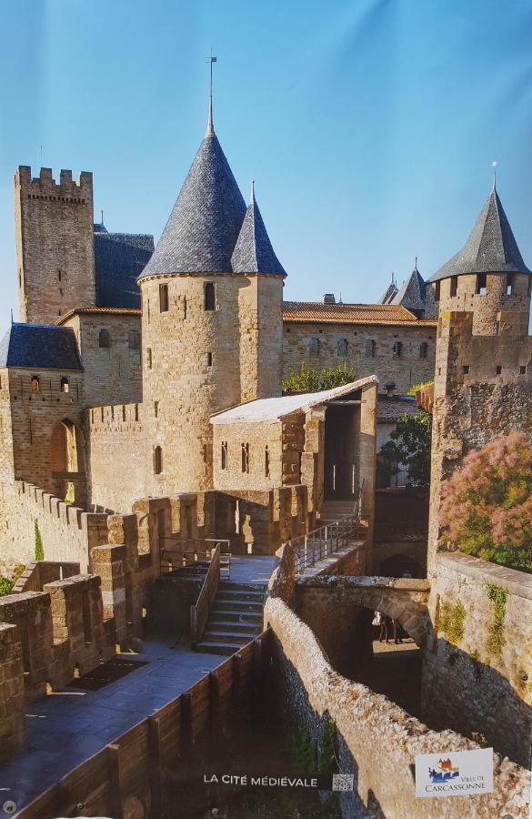 Ma Pierre A L'Edifice, Face A La Cite Vue Sublime, Studio Avec Terrasse Carcassonne Zewnętrze zdjęcie